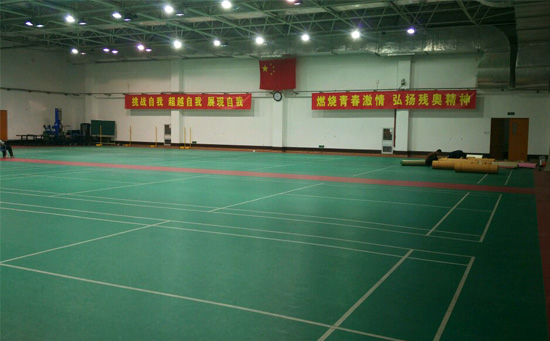 羽毛球場(chǎng)地膠圖片
